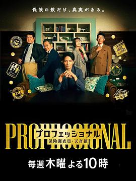 专业人士：保险调查员