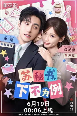 苏秘书，下不为例